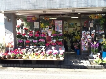 「八千代花園」　（埼玉県北本市）の花屋店舗写真1