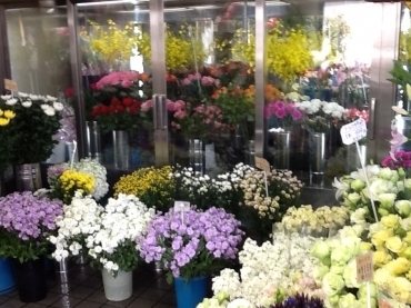 「八千代花園」　（埼玉県北本市）の花屋店舗写真2